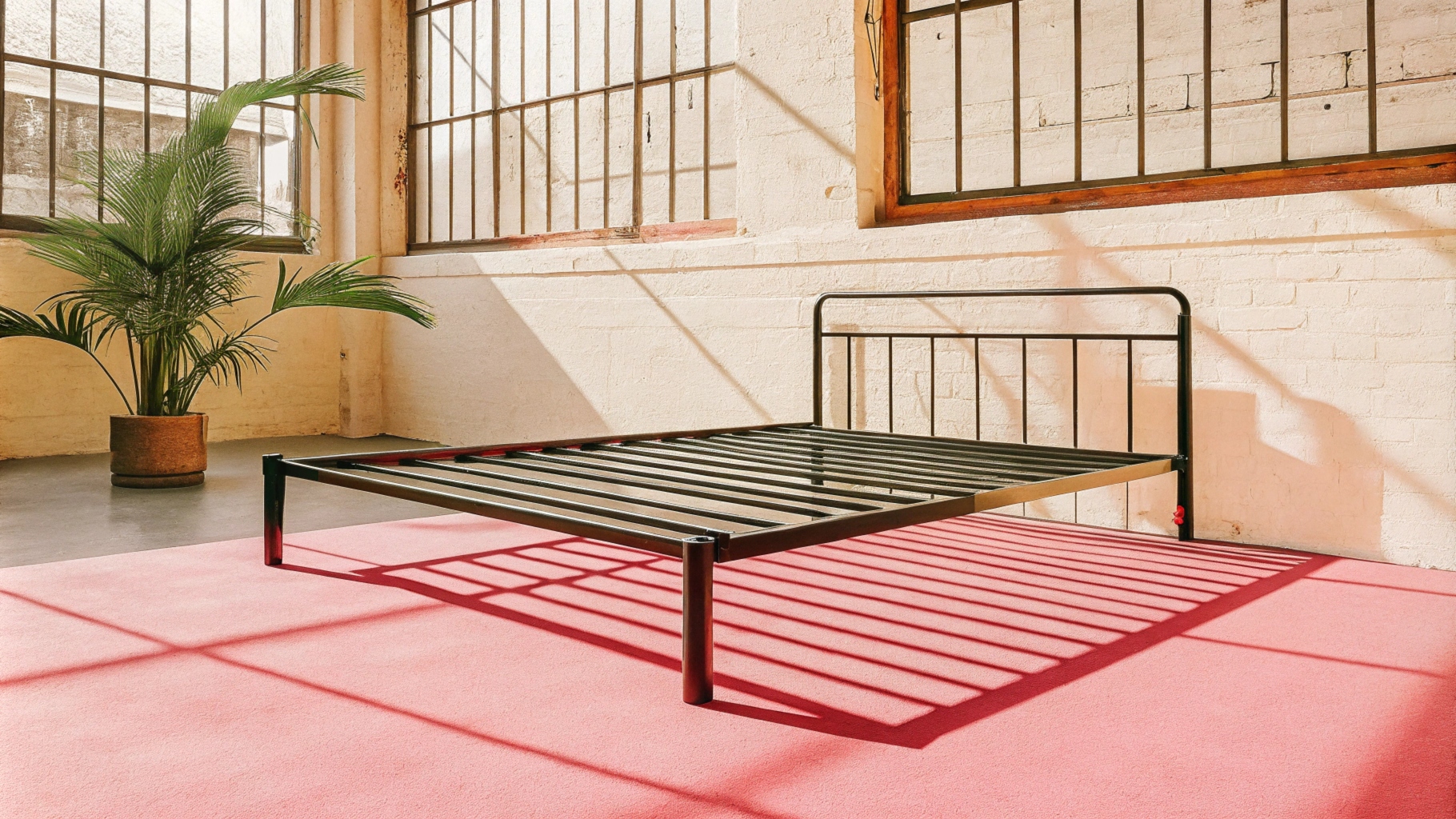 Minimalist black metal bed frame in sunlit room with large windows and red carpet.