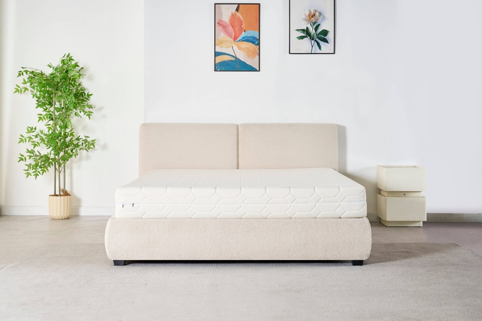 Twin-Cushion Gas Lift Storage Bed image 3
